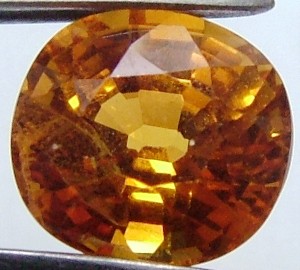 eBay Image Hosting at www.auctiva.com