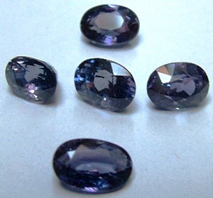 eBay Image Hosting at www.auctiva.com