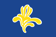 Flag of the Brussels-Capital Region, featuring the iris.