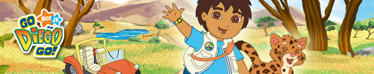 Go Diego Go Store