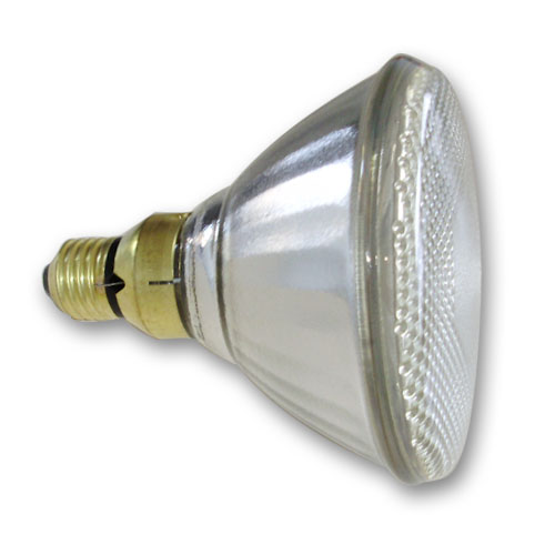 Par 38 bulb