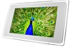 Images Hosted by Use.com