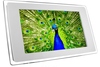 Images Hosted by Use.com