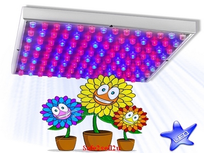 Images Hosted by Use.com