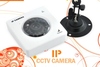 Images Hosted by Use.com