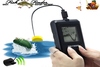 Images Hosted by Use.com