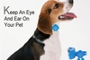 Images Hosted by Use.com