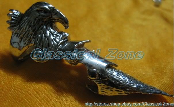 eagle_04A_a.jpg picture by zone_123