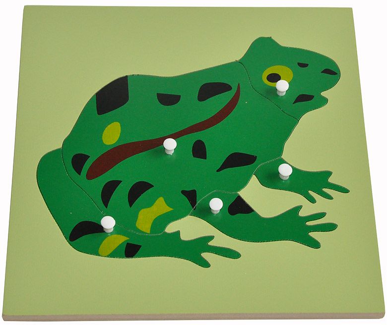 montessori australia wooden puzzle frog