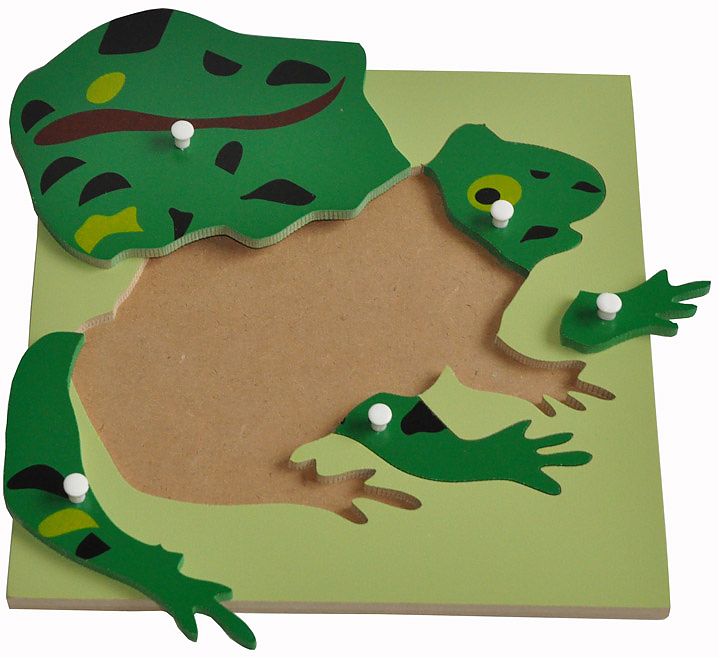 montessori australia wooden puzzle frog 2