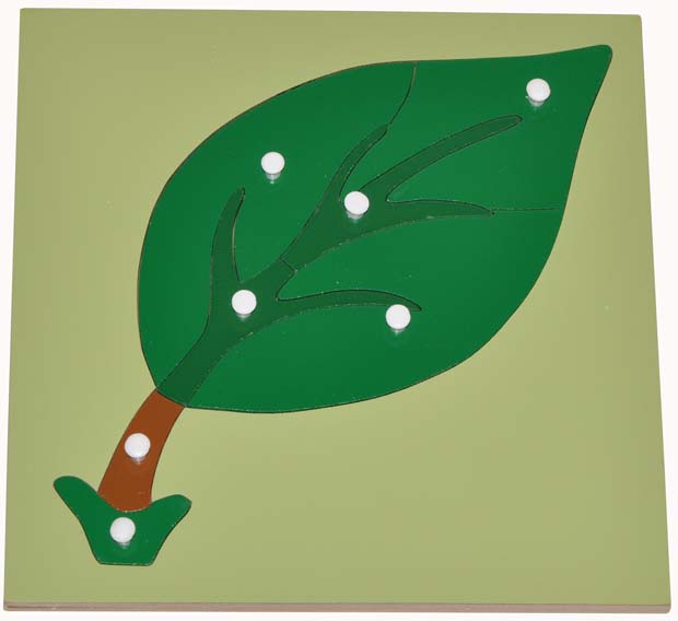 MONTESSORI LEAF Wooden Knob EDUCATIONAL PUZZLE - Biology HOMESCHOOL