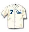Fort Worth Cats 1948 Home Jersey