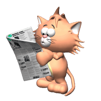 Cat reads newspaper