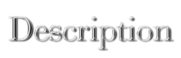 http://farm4.static.flickr.com/3524/3314966571_89a086600f_t.jpg