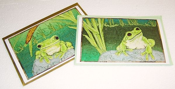 frogs