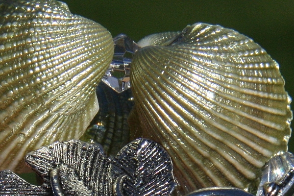 KapKa Design Necklace