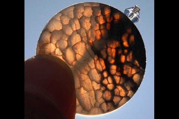 KapKa Design earrings
