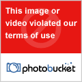 20086970861-1.jpg 