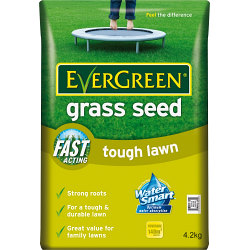 EverGreen Grass Seed