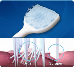 OraBrush Tongue Cleaner Bristles