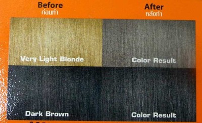 philippines products dye hair gray COLOR Spa : Dye Health Permanent Beauty Hair Cream Hair