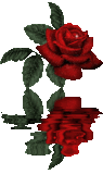 Debbie186.gif Roses &amp; water image by 02bher