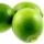 Bergamot
