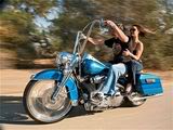 http://imagehost.vendio.com/preview/a/35110975/aview/0804_hrbp_01_z2B2005_harley_davidson_road_king2Briding.jpg?t=1300545198