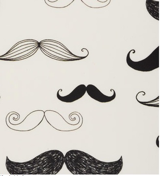 http://imagehost.vendio.com/preview/a/35111061/aview/mustache_iphone_case_2.jpg