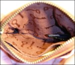 Free Image Hosting at www.ImageShack.us