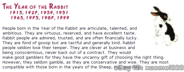 4-rabbit.jpg picture by xuemei82802