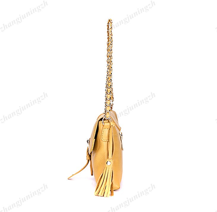 Genuine Leather Purse Shoulder Baguette Hand Bag Clutch Pouchette Chain Tassel