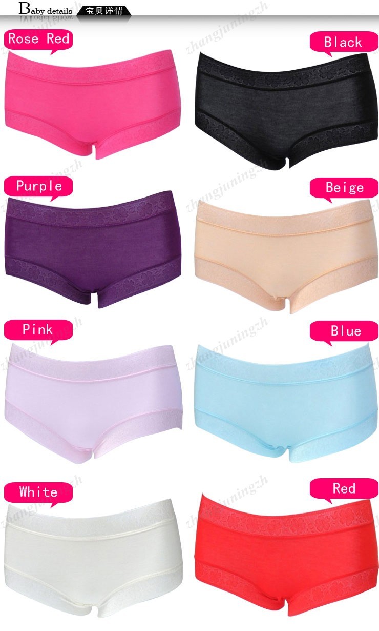 Women Sexy Lace Lingerie Underpants Seamless Underwear Panties Briefs Boyshorts