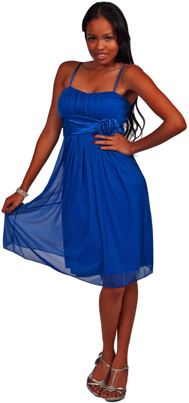 http://imagehost.vendio.com/preview/a/35149453/aview/1119-ROYAL-BLUE-EBAY-800A.jpg