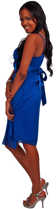 http://imagehost.vendio.com/preview/a/35149453/aview/1119-ROYAL-BLUE-EBAY-800B.jpg