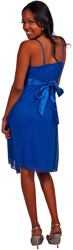 http://imagehost.vendio.com/preview/a/35149453/aview/1119-ROYAL-BLUE-EBAY-800C.jpg