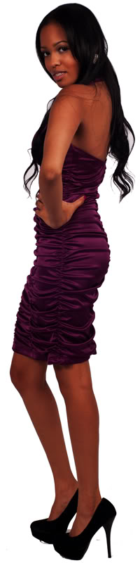 http://imagehost.vendio.com/preview/a/35149453/aview/20173-D2-PLUM-PURPLE-EBAY-800B.jpg