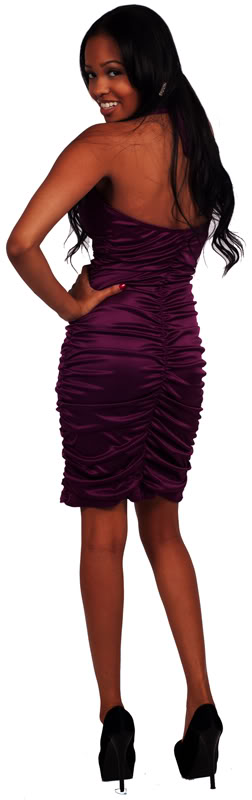 http://imagehost.vendio.com/preview/a/35149453/aview/20173-D2-PLUM-PURPLE-EBAY-800C.jpg