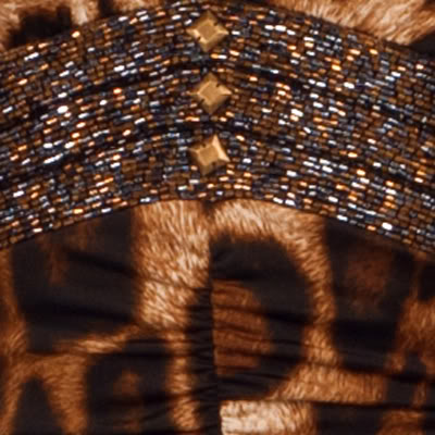 http://imagehost.vendio.com/preview/a/35149453/aview/4320D-Leopard.jpg