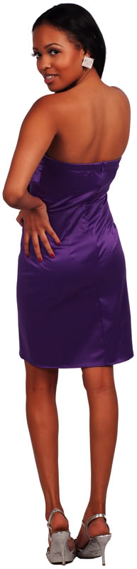 http://imagehost.vendio.com/preview/a/35149453/aview/5771-D2-PURPLE-EBAY-800C.jpg