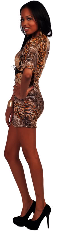 http://imagehost.vendio.com/preview/a/35149453/aview/6193-D2-ORANGE-LEOPARD-EBAY-800B.jpg