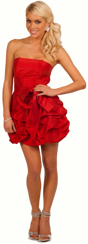 http://imagehost.vendio.com/preview/a/35149453/aview/98285-SCARLET-EBAY-800A.jpg