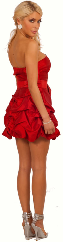 http://imagehost.vendio.com/preview/a/35149453/aview/98285-SCARLET-EBAY-800C.jpg