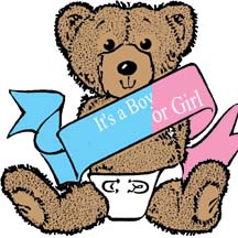 Baby Bear- Ribbon in Pink or Blue