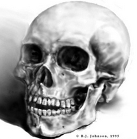 Skull Center