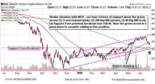 The Transition From A Bear Market To A Bull Market 2009