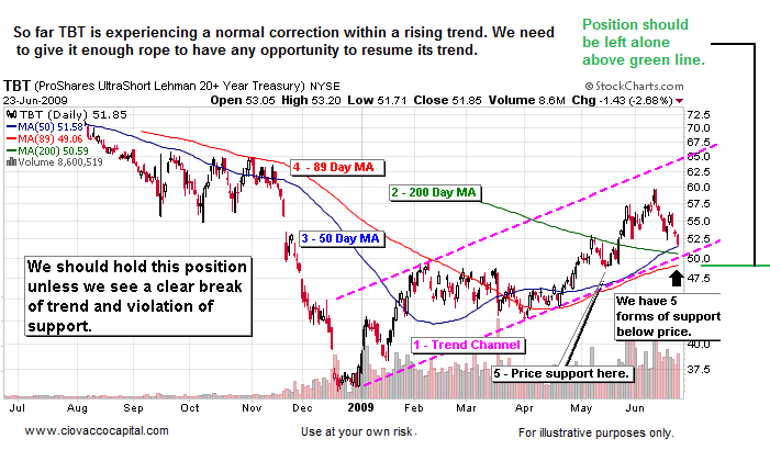 The Transition From A Bear Market To A Bull Market 2009