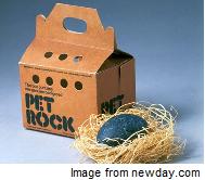 That 70's Show - The Pet Rock Craze