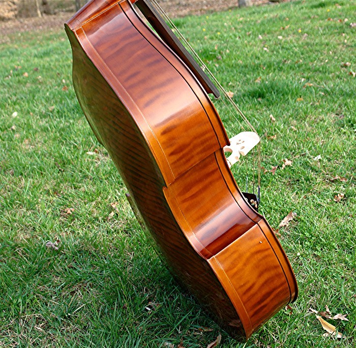 artist-model-upright-bass-fiddle-bluegrass-dream-ebay