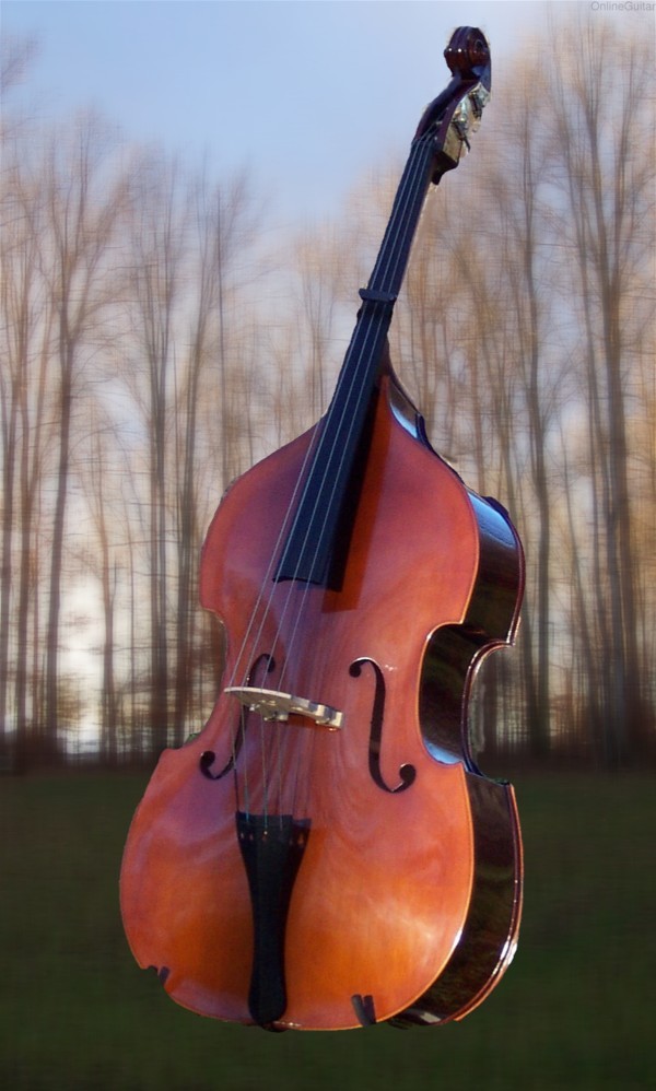 3/4 Upright MERANO BASS FLAMED BACK EBONY FINGERBOARD!!